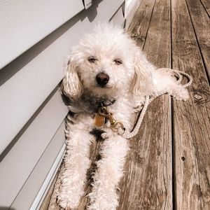 Meet your Posher, Hannah